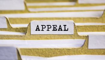 Immigration Appeals and Litigation
